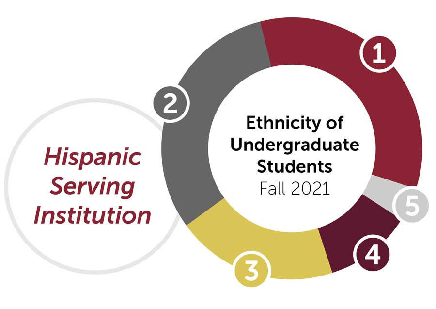 Circle chart with five sections showing percentages of student ethnicity as described by the caption.