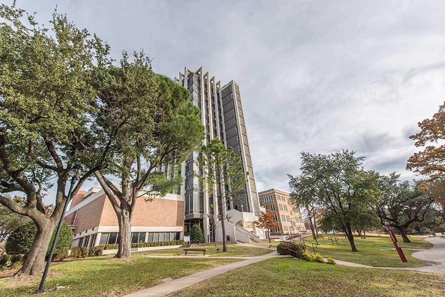 trees and sidewalk with CFO building in background