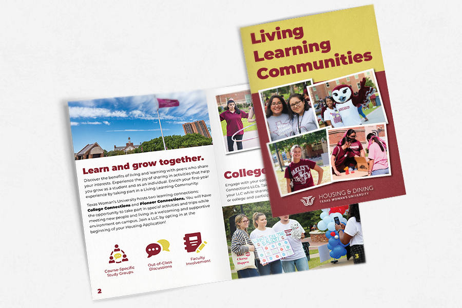 Two LLC booklets lay flat on a white surface. One lays open showing inside and the other is closed showing the cover.